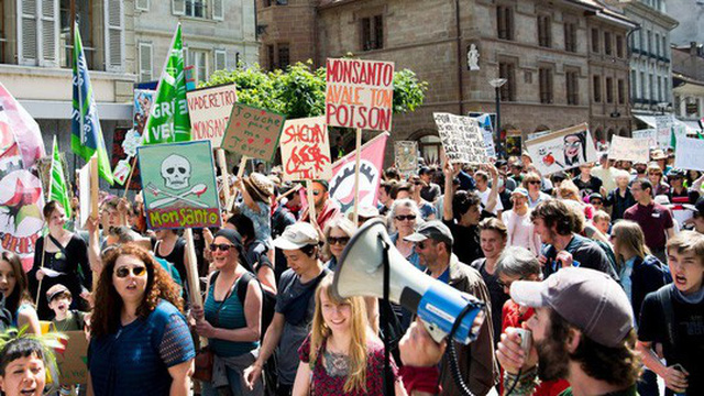 Một cuộc biểu tình phản đối hãng Monsanto tại Thụy Sĩ Ảnh: AP